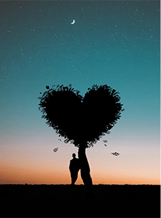 silhouette-photo-of-man-leaning-on-heart-shaped-tree-744667